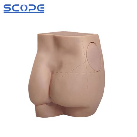 Medical Manikin Teaching Tool Advanced Pvc Sc H T Buttocks