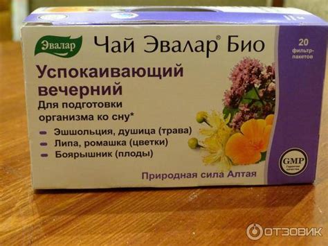 Чай на ночь перед сном: какой сорт чая, как влияет на сон