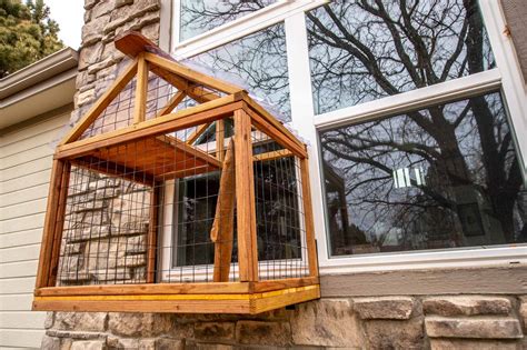 Kittens Playpen Catio - Cat Topia