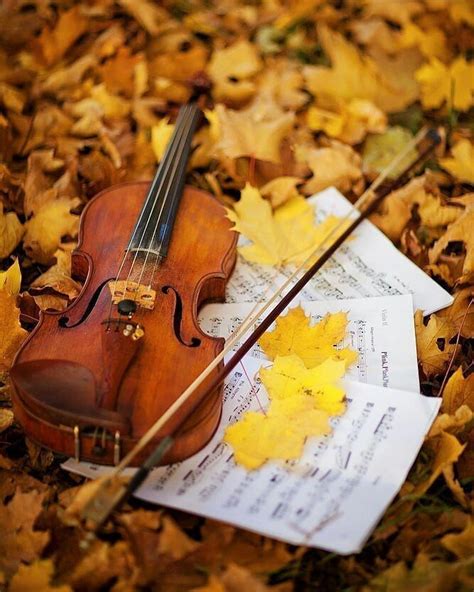 autumn's on Instagram: “Violin + Autumn (?) • • • • • • • • • #autumn # ...