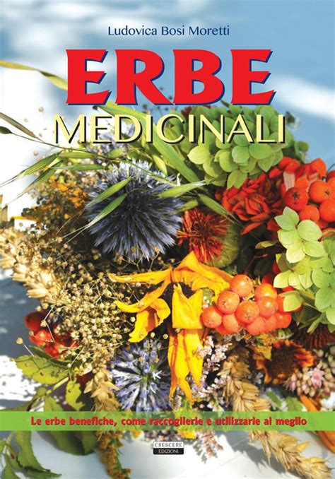 Erbe Medicinali Le Erbe Benefiche Come Raccoglierle E Utilizzarle Al