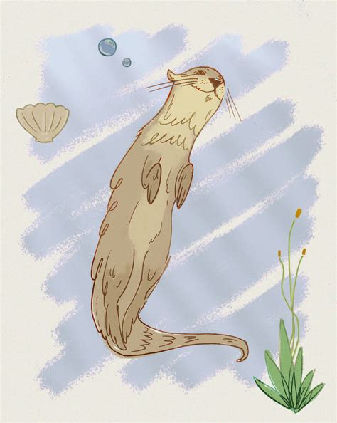 otter by MacCasarotto on DeviantArt