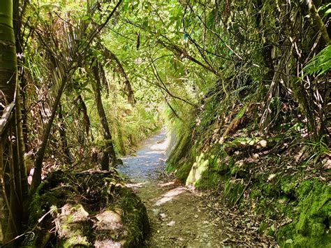 Hiking in New Zealand - Mel On The Go