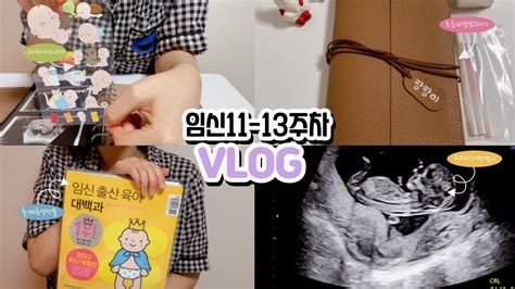 Vlog 임산부 브이로그🤰🏻 I 임신 11~13주차 일상👶🏻 I 1차 기형아검사 I 짱짱이 입체초음파 I 초음파 앨범 꾸미기