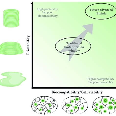 Description Of The 3d Bioprinting Printabilitybiocompatibility Window