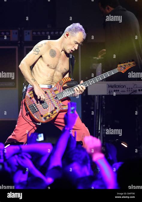 Bass Guitar Player Michael Flea Balzary And His Band Red Hot Chili