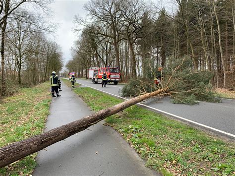 Fahrbahn komplett blockiert Baum stürzt in Sögel auf Straße Ems