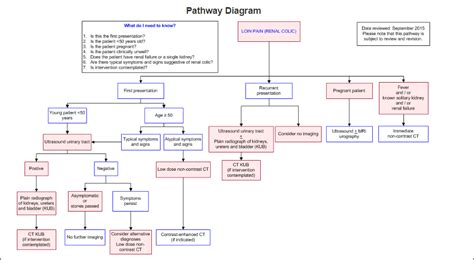 Renal Colic Assessment Safer Care Victoria