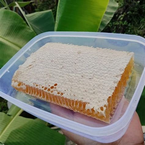 Jual Honeycomb Sarang Madu Murni Shopee Indonesia