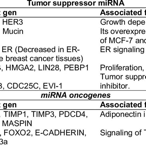 Principal Mirnas Modulated In Breast Cancer White Gene And