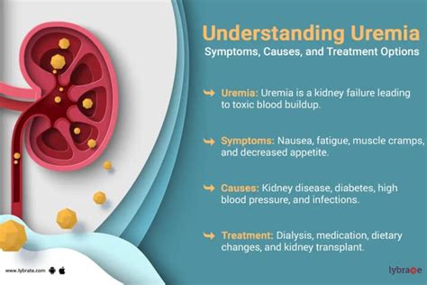 Unraveling The Mystery Of Uremia A Life Threatening Condition By Dr