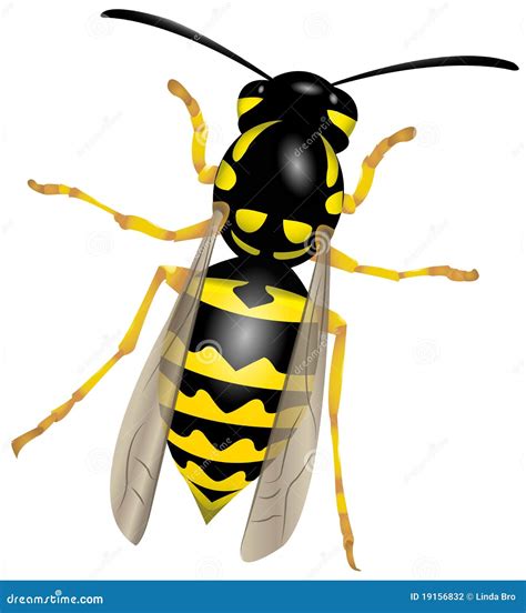 Yellowjacket Cartoons, Illustrations & Vector Stock Images - 11 ...