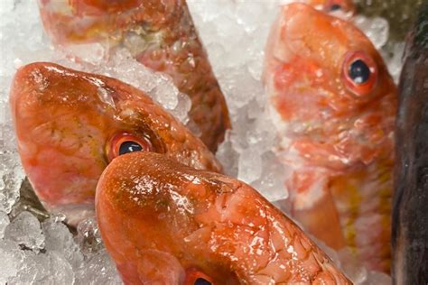 Buy Red Mullet Online