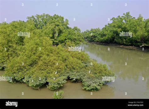 Khulna Bangladesh November 24 2023 Aerial View Of The Sundarban