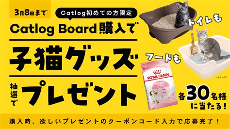 【猫の日🐈】子猫グッズプレゼントキャンペーン🎉期間中にcatlog Boardを購入すると、3種類の子猫様グッズを抽選で各30名様にプレゼント