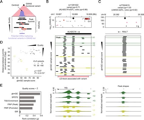 Quality Assessment And Refinement Of Chromatin Accessibility Data Using