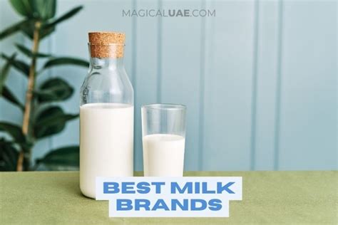 Best Milk Brands In The World Informacionpublica Svet Gob Gt