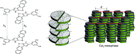 Schematic Model Showing The Self Assembly Of Molecules In The Col L Download Scientific Diagram