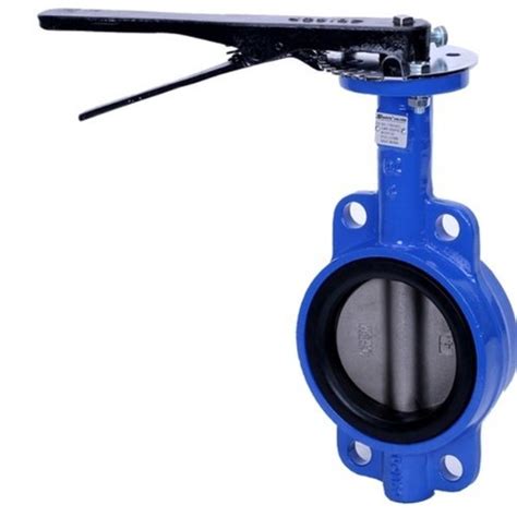 Cast Iron Butterfly Valves At Inr In Raipur Maruti Tradelink