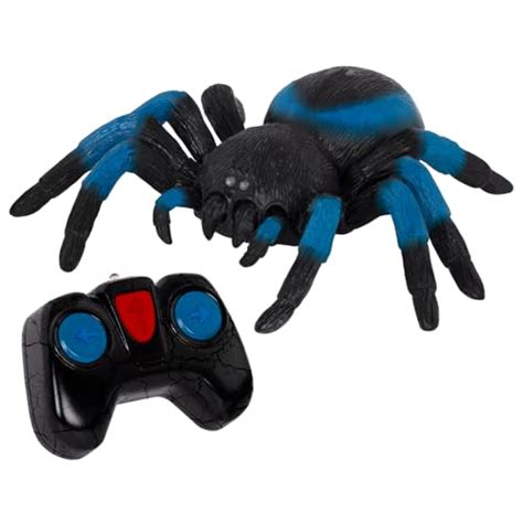 Top 10 Hexbug Spider Remote Control of 2022 - Katynel