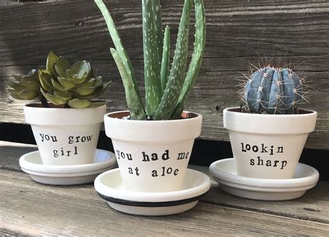 Funny 3 Succulent Flower Pot By Aki Company On Etsy Succulents Punny