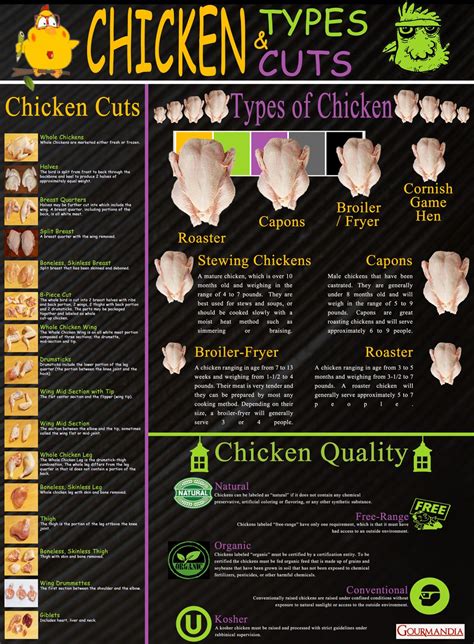 Chicken types cuts – Artofit