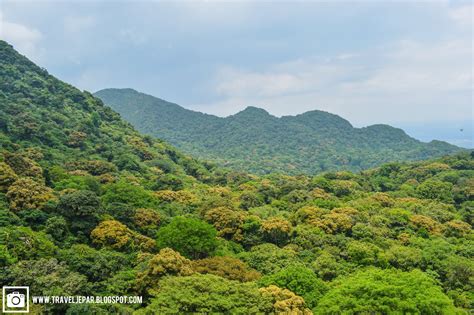 Mt. Makiling | The Sleeping Beauty of South Luzon