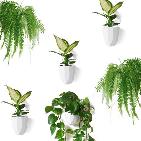 Make Good Virgo Wall Planters Wide Set Of 6 Easy To Water And Install