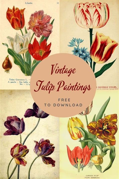 A Gorgeous Collection Of Vintage Tulip Paintings And Botanical