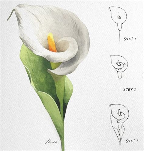 How To Draw A Perfect Flower Step By Step