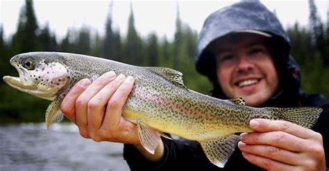 Alaska Fly In Fishing Fairbanks - Unique Fish Photo