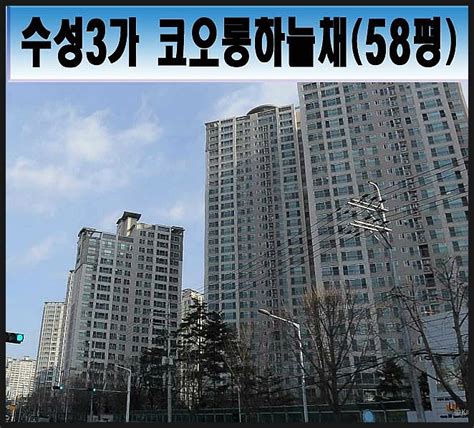 대구아파트경매 물건 수성구 수성동3가 수성코오롱하늘채 아파트58평 네이버 블로그