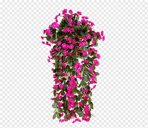 Violet Orchid Hanging Hanging Flower Decorative Flower Flower Png