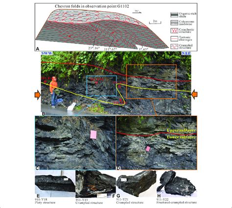 Variations In Shale Deformation Of The Upper And Lower Sublayers Of