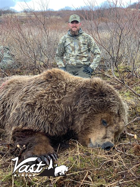 Spring Brown Bear Hunts in Vast Alaska - Vast Alaska