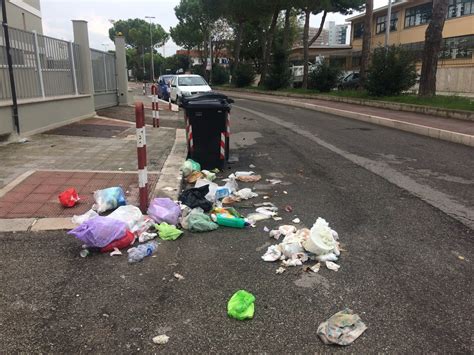 Rifiuti Abbandonati A Barletta Sanzionati I Trasgressori Barletta