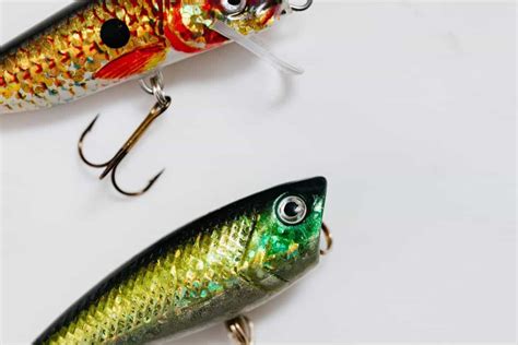 5 Best Topwater Lures For Florida Peacock Bass Catch Florida Peacock Bass