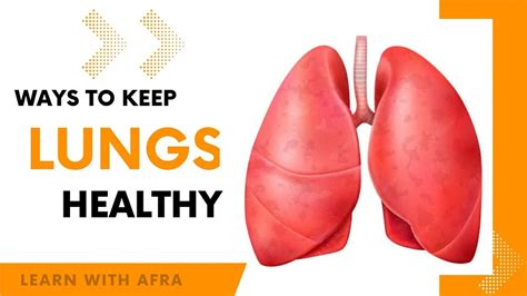 Amazing Facts About Lungs How To Keep Lungs Healthy Interesting