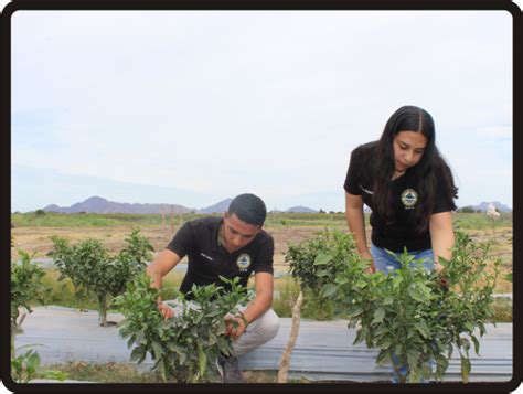 Ingeniería en Innovación Agrícola Sustentable Tecnológico Nacional de