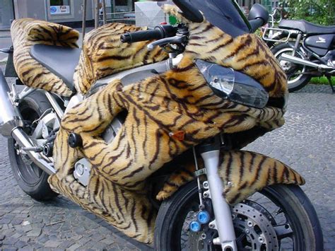 Tiger Image - wild lady's bike