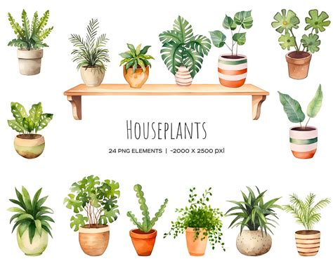 Watercolor 18 Houseplants In Pot House Plants Clipart Gardening Clip Art Greenery Plants