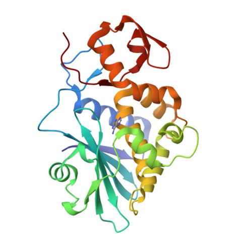 Rcsb Pdb Lpd High Resolution Structure Of Recombinant Dianthin