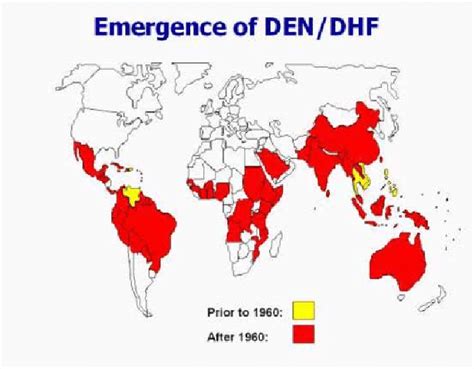 This Map Shows The Prevalence Of Dengue Fever Around Our World Today