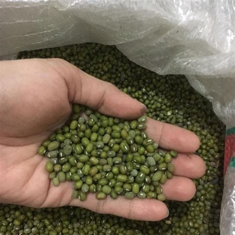 Jual Kacang Hijau 1kg Kota Tangerang Selatan Toko Sembako Cheryn