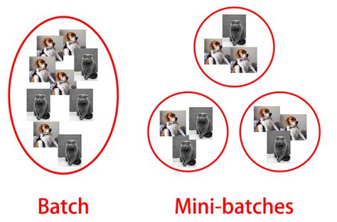 Batch Size And Batch Normalization Python