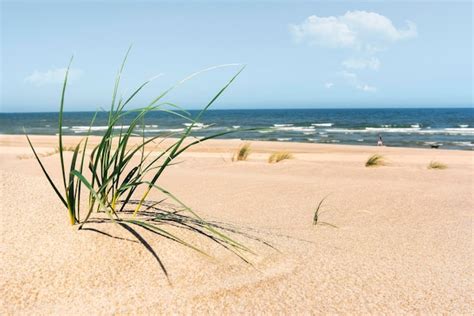 Playa Soleada Con Arena De Hierba Marram Y Mar Del Norte En La Isla De