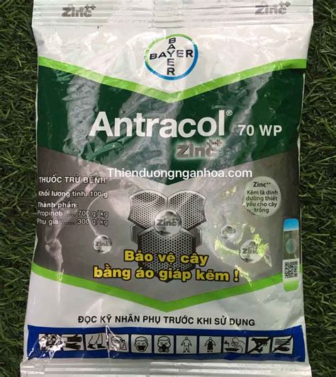 Cách sử dụng Antracol 70WP có được tưới gốc lan mai vàng