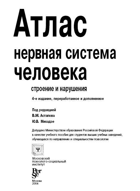 Атлас - нервная система человека строение и нарушения