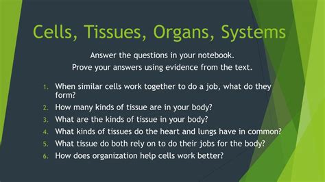 Ppt Cells Tissues Organs Systems Powerpoint Presentation Free