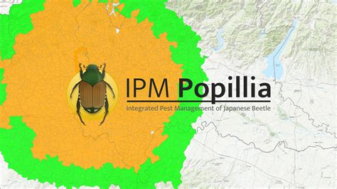 Updated interactive map of the Japanese beetle invasion in Continental ...